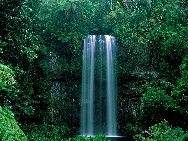 Rize Waterfall